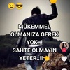 aysel.ylmaz669