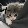 hi_me_18