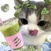 bil_far