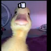 ripdafyduck7413