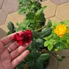 _sa5ll
