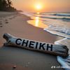 cheikhndy113
