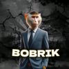 bobrikhp