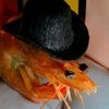 th3_hasty_shrimp