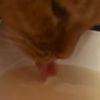 chips_928