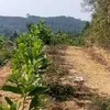 khim.vi4