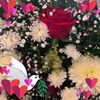 isabel.hernandez4683