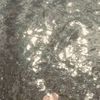 dms_aliel04