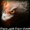 waelabrahem7