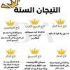 mahmoud.hamza10