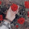 user4427235190693