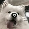 xinhchaomoingu