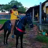 DIAMANTE VAQUEIRO 💎🐂🐴🤠🎼🎶
