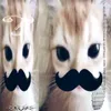 semswdupe