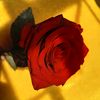 heph.zibah3