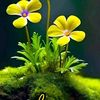yoges.sivam