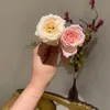 zainabbb1211