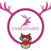 casestudee