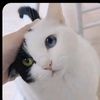 seyou_54