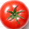 tomato.10.73.25