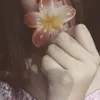 shinko_ilysm