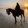 lojayn867