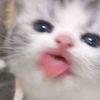 uliyyaaawww
