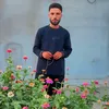 peshawaali