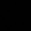 bisenov27