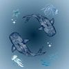 skx.aung