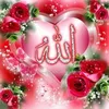 abdulhaque0243
