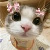 callme.va0813