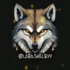 Lobo Shelby