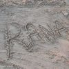 rana.elkhawit