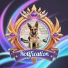 _notifications147