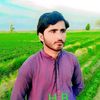 hussain.khan5860