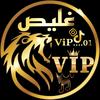 vip....01