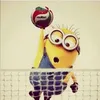 hieu_catuan