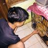 yudyudiw