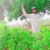 faisaldroon
