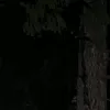 ggsgsh18