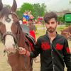 adeel.7867860
