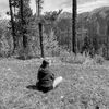 pyper_1111