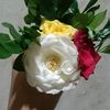 suma.akter5053