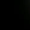 araujooth1