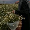 poetry__official2