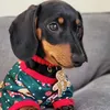 Dachshunds USA 2024
