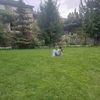 lamine_yamal892