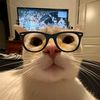 cat_roblox48