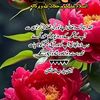 abrar.iqbal5